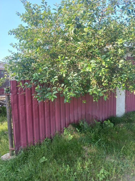 Продам гарний будинок.