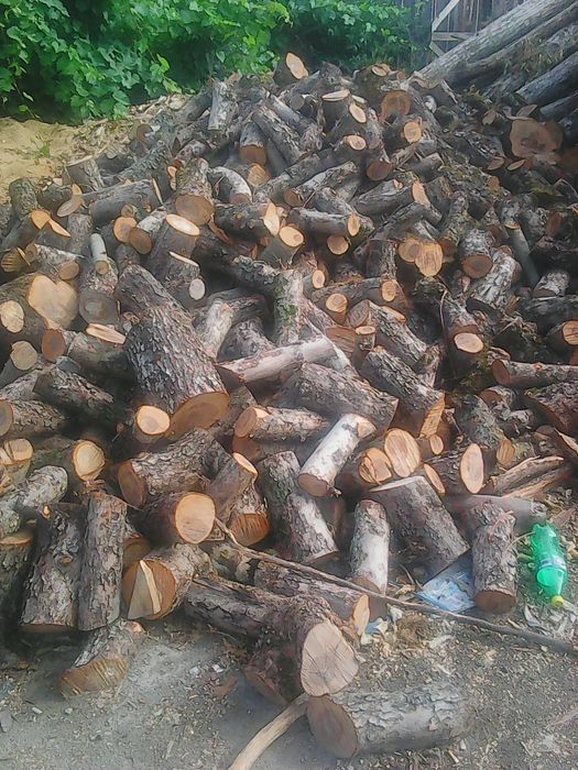 Продам Дрова  фруктовых деревьев