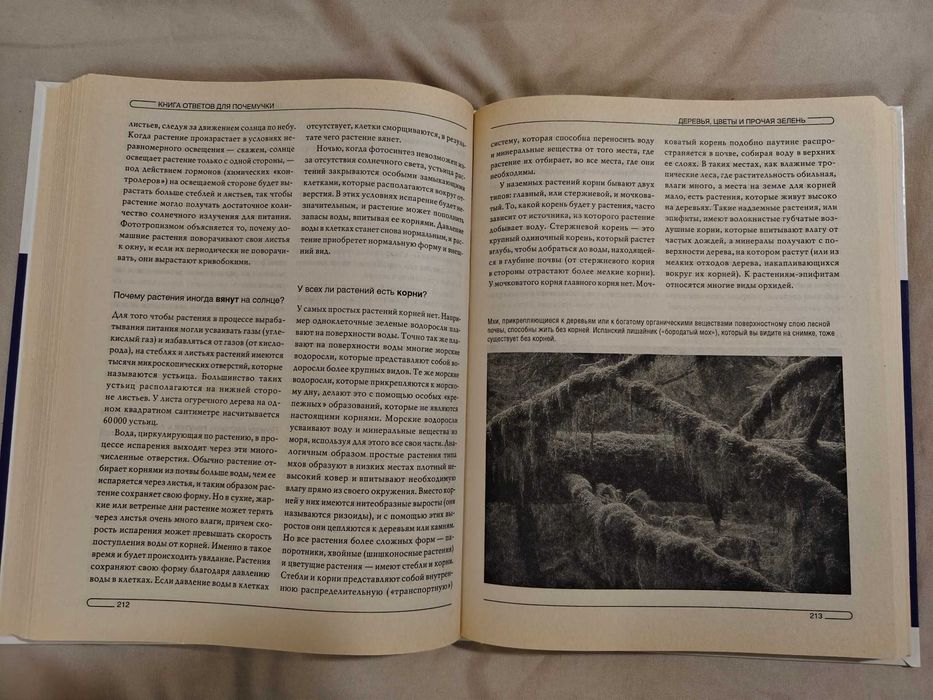 Джуди Галенс, Нэнси Пир «Книга ответов для почемучки»