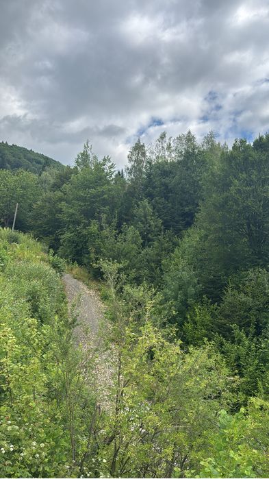 Земельна ділянка 6 соток біля Східниці