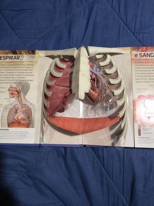 Livro didático "Estou Vivo", sobre o corpo humano