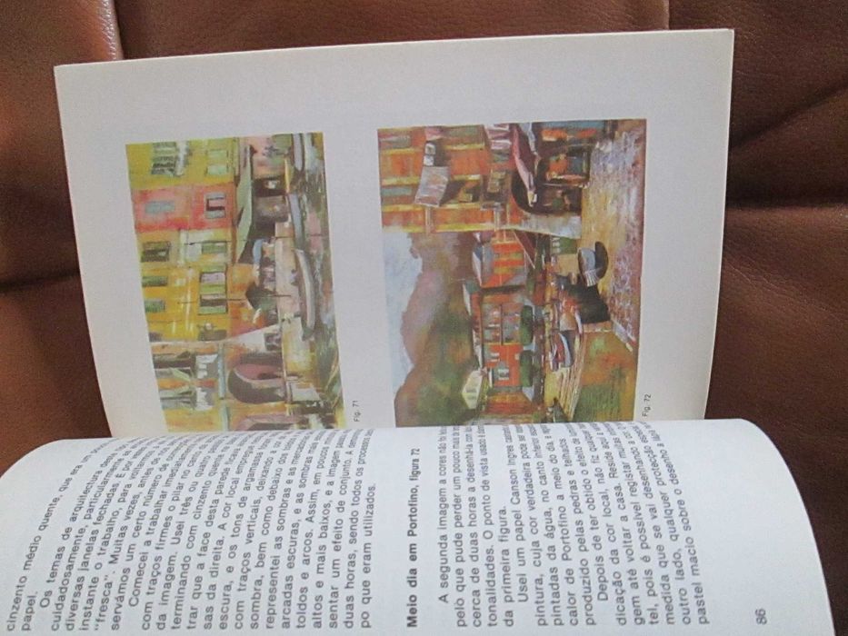 Pintar a Pastel, de Ernest Savage