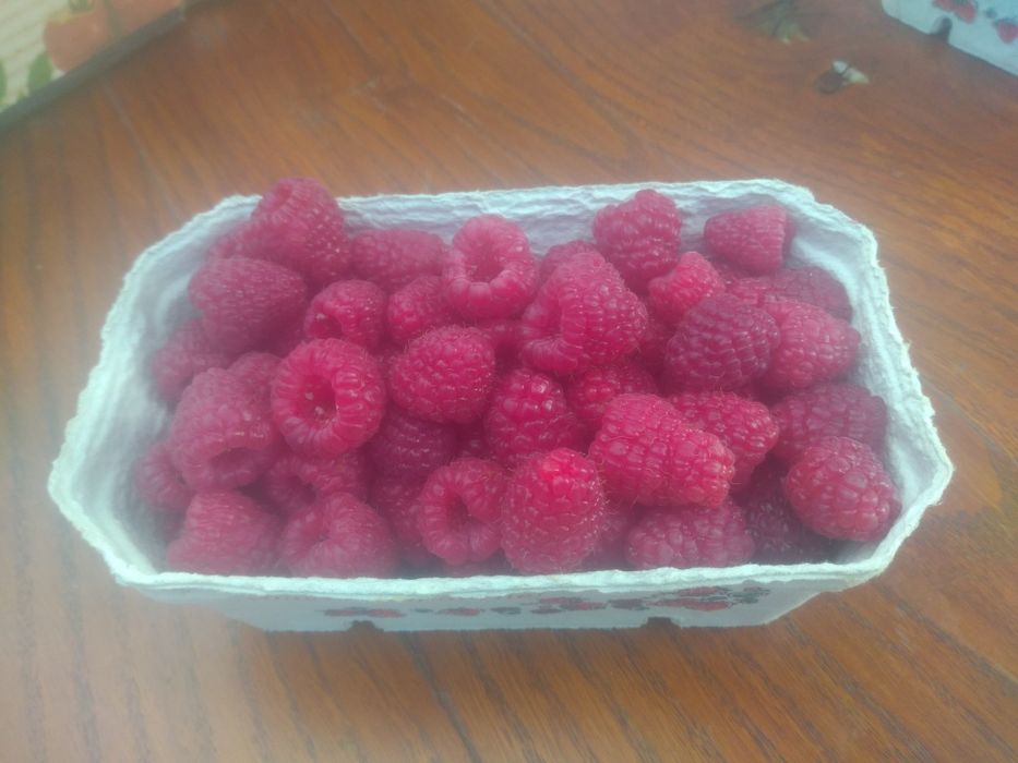 Sprzedam maliny .