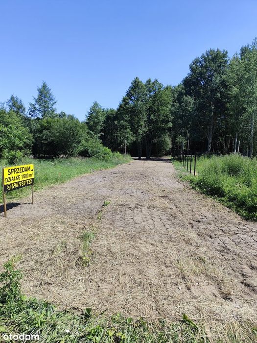 Działka budowlana 1500 m² Radonie - Widok 2