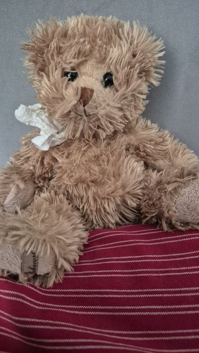 Bukowski mis pluszak