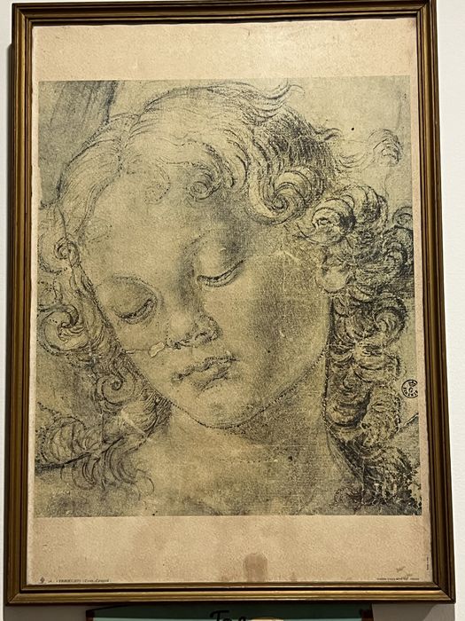 “Verrocchio – Testa d’angelo” (Cabeça de Anjo)