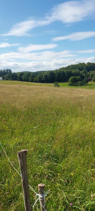 Na sprzedaż działka budowlana  Trzepowo  3000 m