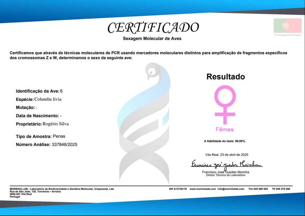 Pombos picas  sexados