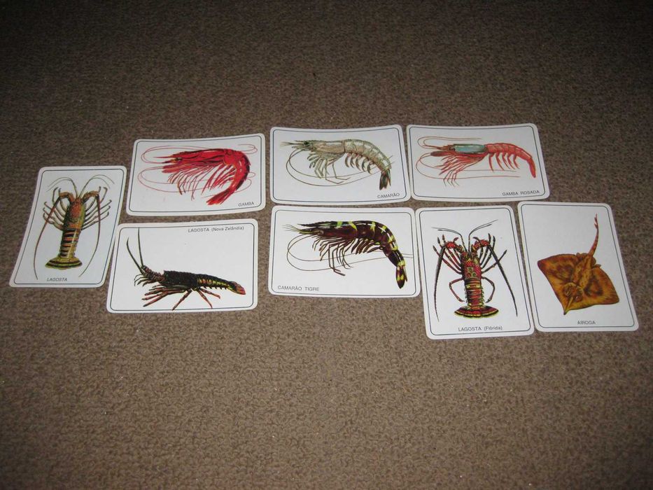 8 Calendários de "Crustáceos" Impecáveis!