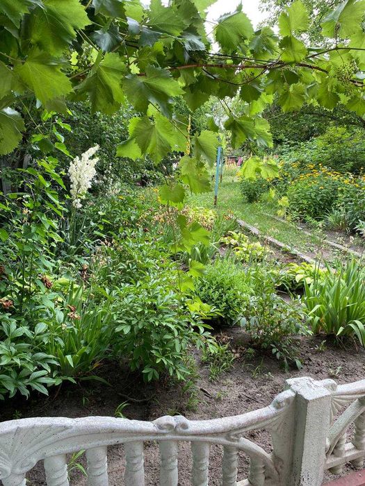 Миронівка , Київська область, Продаж квартири