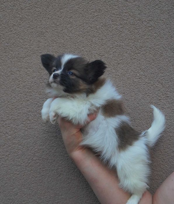 самый лучший мальчик