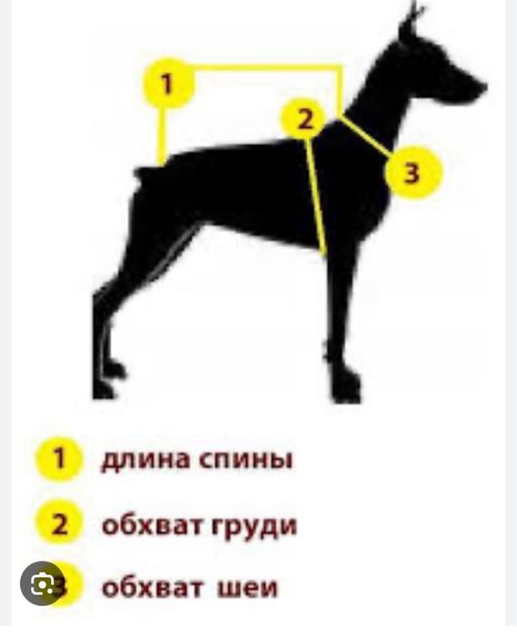 В’язані речі для тварин.