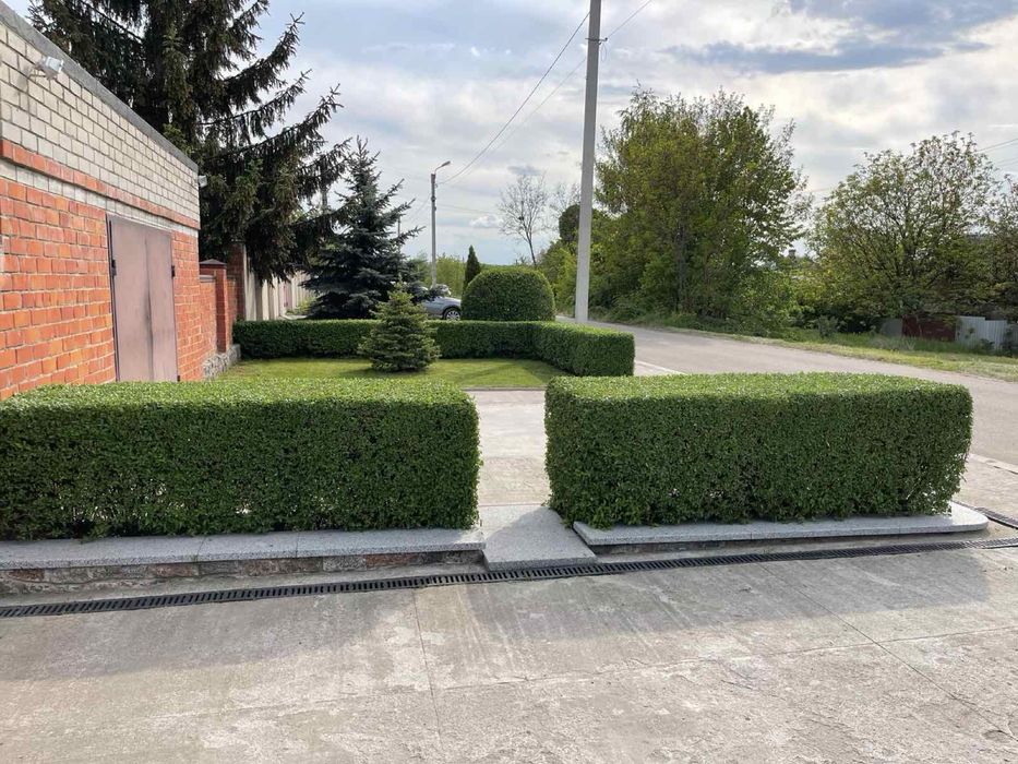 Дом с потенциалом с просторным и ухоженным участком