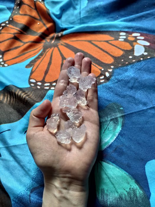 Ziarna alg japońskich na kefir wodny - zmniejsza zapalenie i trądzik