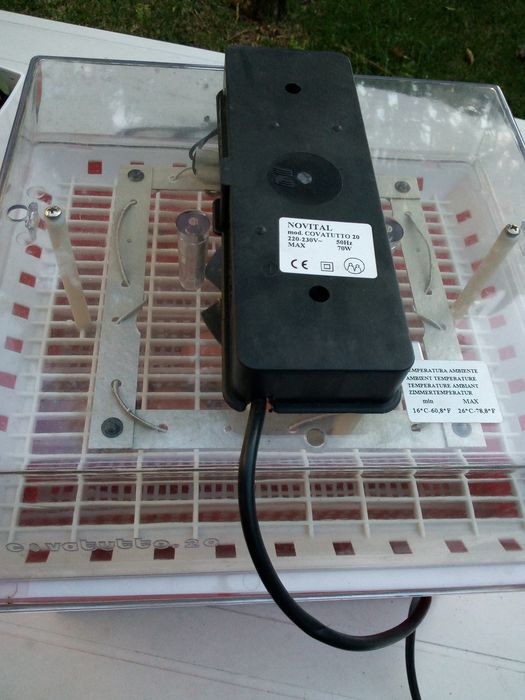 Chocadeira/incubadora elétrica automática Novital