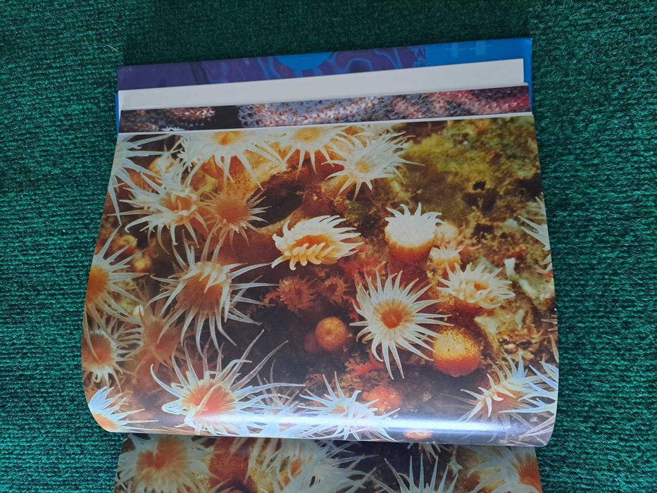 Pavilhão dos Oceanos - Catálogo Oficial- EXPO 98