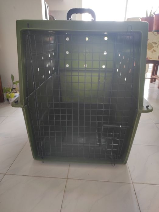 Caixa de transporte para cão em avião