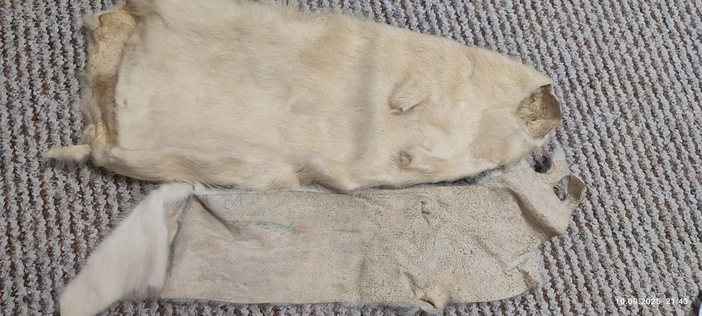 Натуральне хутро дешево