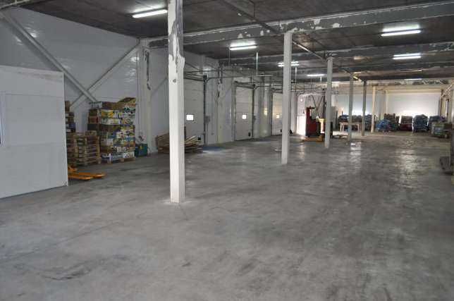 Сдам холодильный, морозильный склад