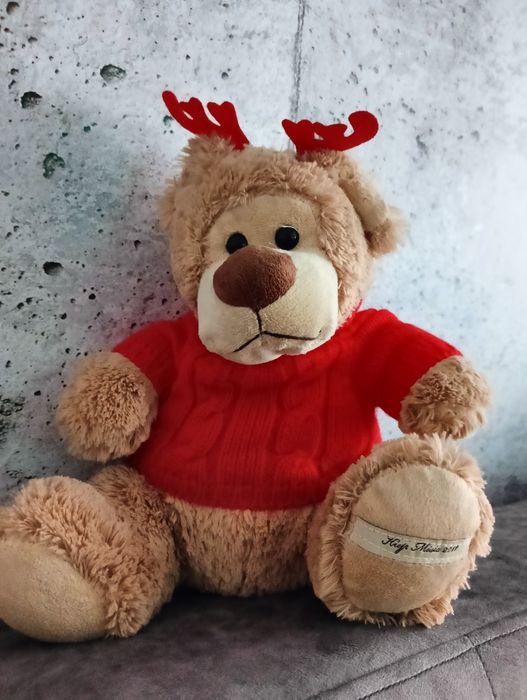 Miś Rudolf 2011 miś tvn