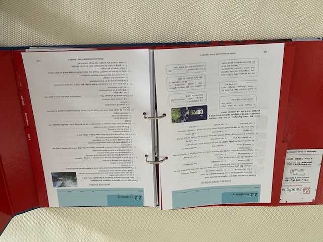 "MySelfie 11" - 11º ano - Inglês -  Projeto PROFESSOR