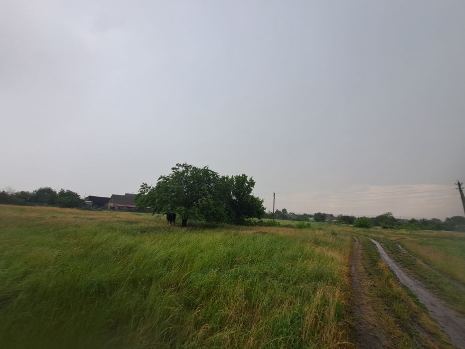 Земельна ділянка с. Військове, Дніпропетровська область