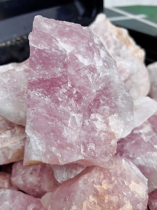 Lote de Quartzo Rosa
