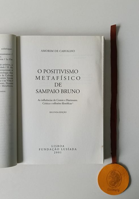 O positivismo metafísico de Bruno Sampaio