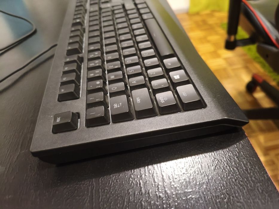 Razer cynosa  v2
