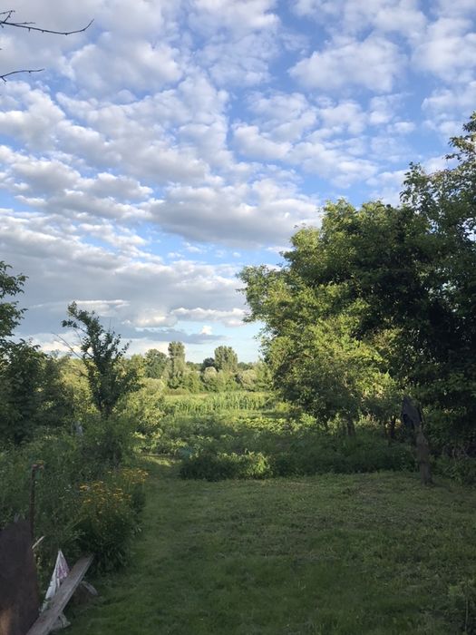 Терміново, в зв‘язку з виїздом, 10 км від міста