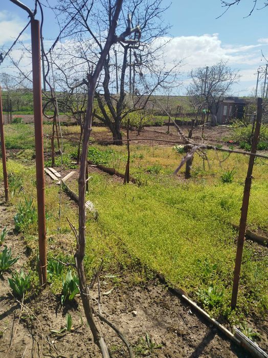 продам садовый дом