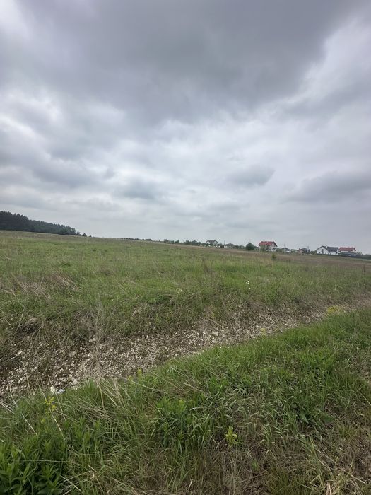 Вороців. Перша лінія. Осг. Біля лісу