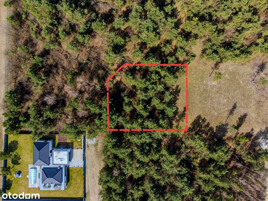 Na sprzedaż działka budowlana 1604 m², MPZP, Ostrowina, gm. Oleśnica