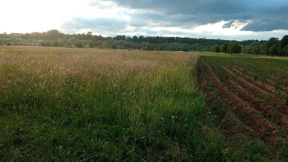 Продам земельну ділянку 0.15 га