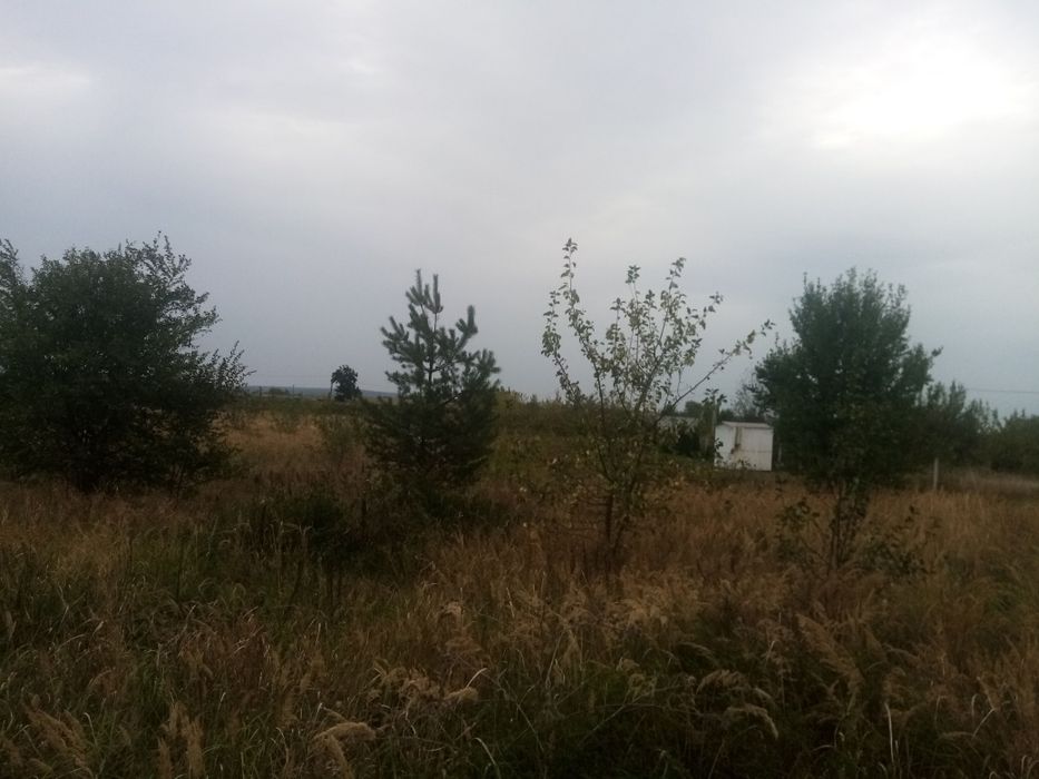 Оренда землі в Підпечерах