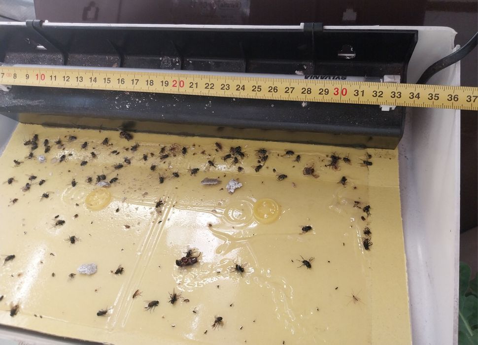 Aparelho de matar moscas e mosquitos