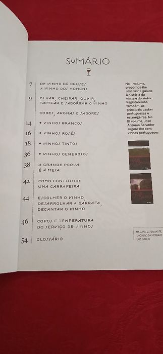 ABC  dos vinhos - A arte de beber