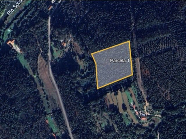 Terreno rústico situado em plena envolvente natural