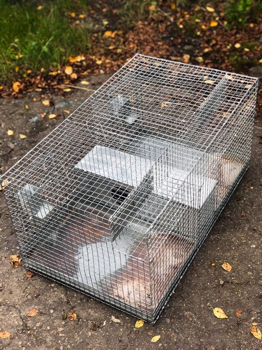 СУПЕРЦІНА!!! Клітки для шиншил