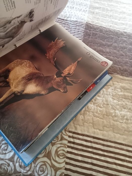 Livros de coleção aventura da vida