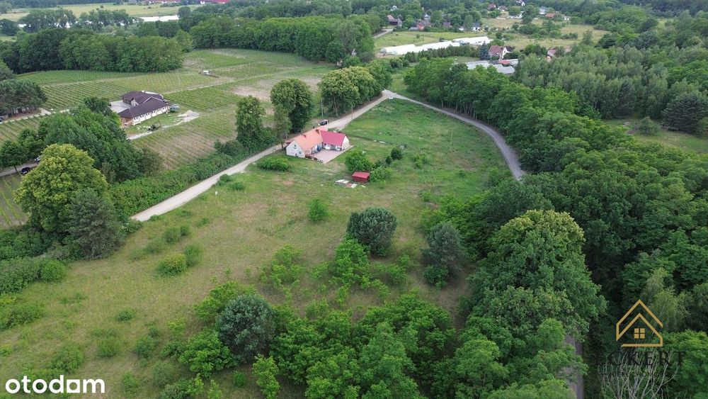 GÓRZYKOWO - dom przy samej winnicy - Więcej