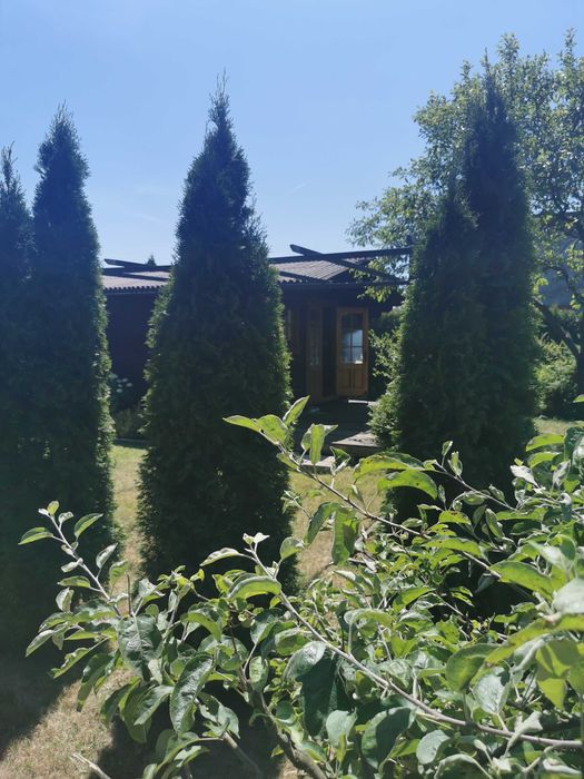 Działka ROD Huta Stara B, 700m2