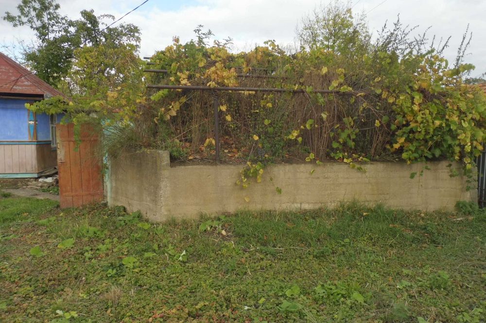 Продам господарство (хату, ділянку) поблизу Коломиї (Івано-Франківська обл.)