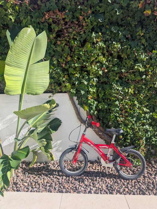 Bicicleta criança
