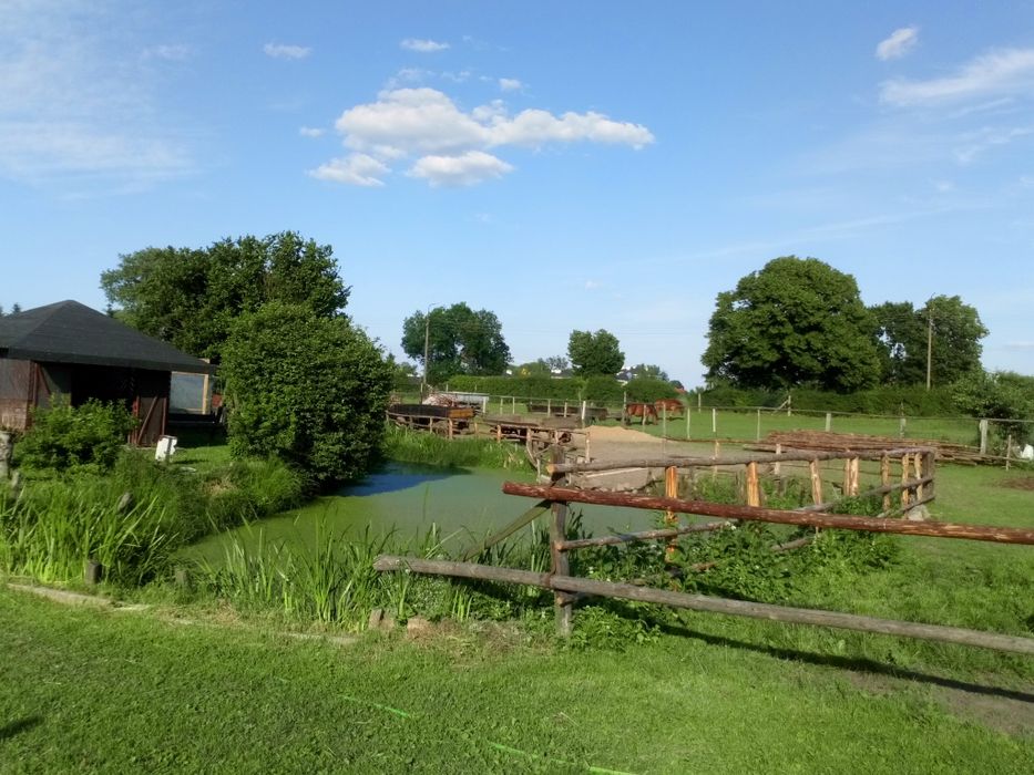 Agroturystyka Zielony Domek, Nocleg Olsztynek