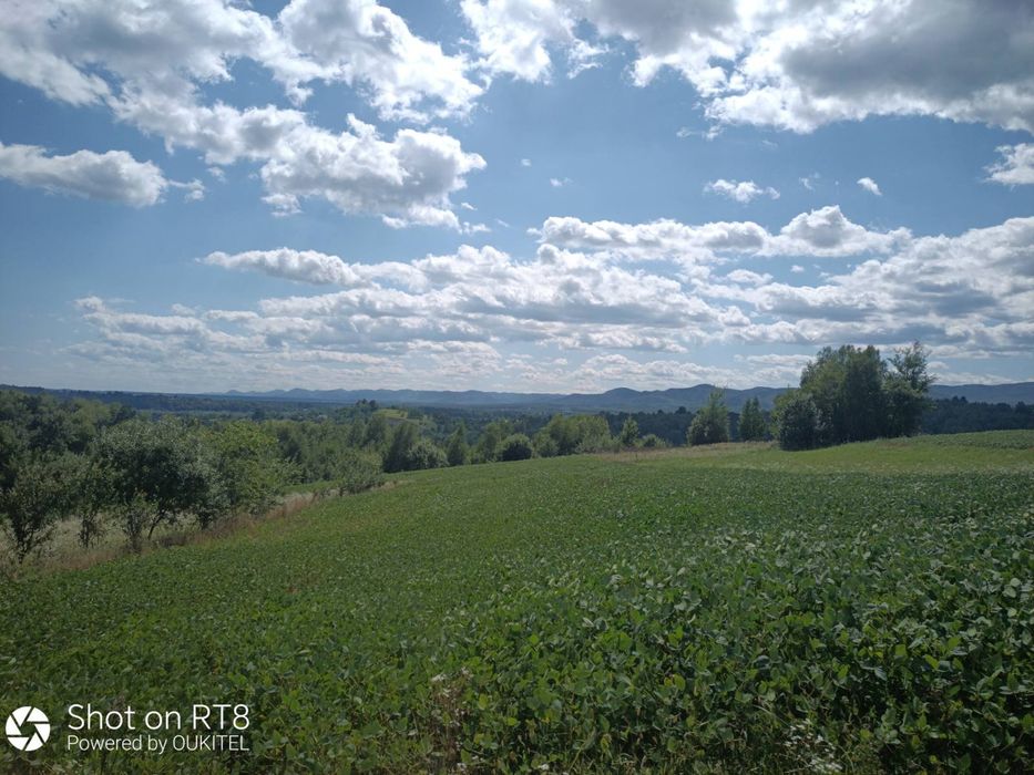 продам земельну ділянку площею 0,1400 га с. Вербовець