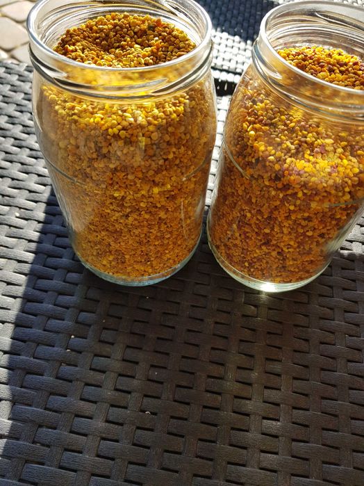 Pyłek pszczeli słoik 0.9L