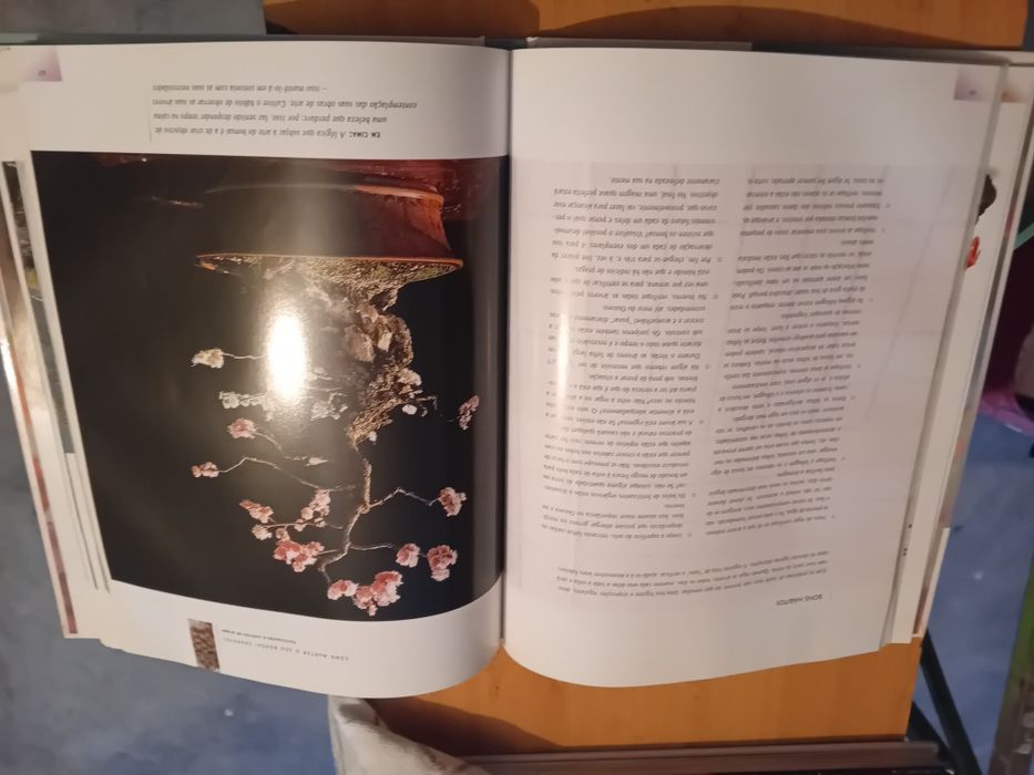Livros usados sobre bonsais