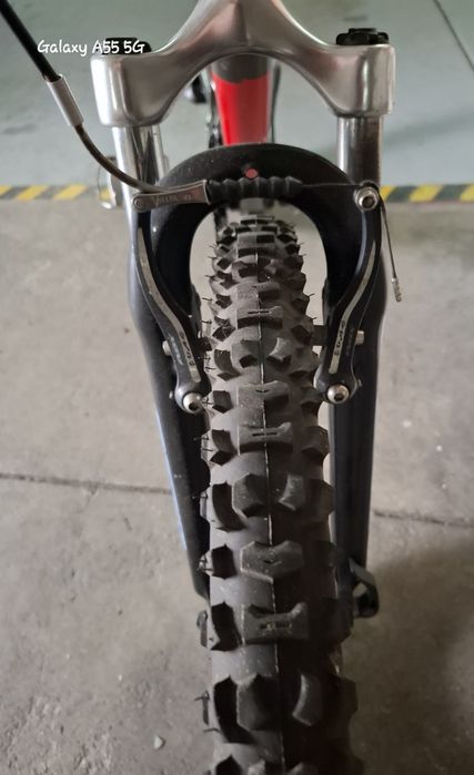 Bicicleta adultos