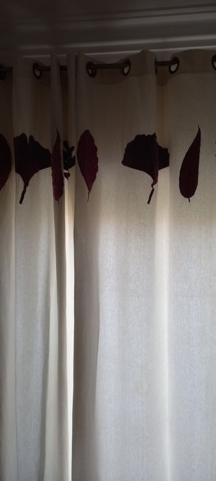 Cortinados gato preto